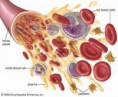 /album/hematologia/e-figurados-jpg/